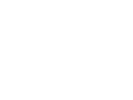 2007
